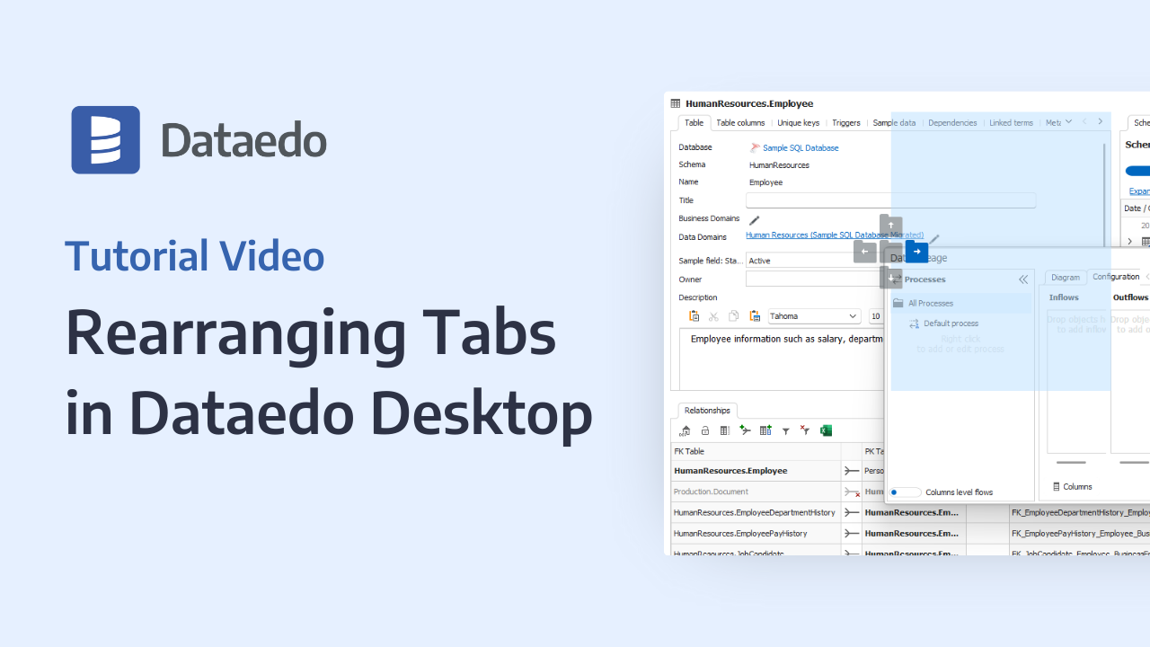 rearranging-tabs-in-dataedo-desktop