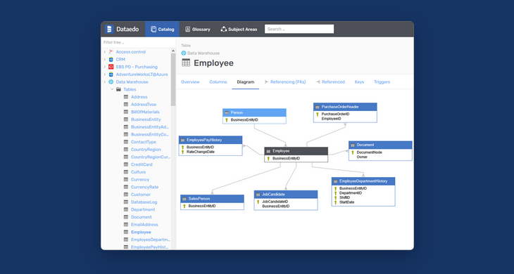 Dataedo Web Catalog - Build Data Community and Literacy